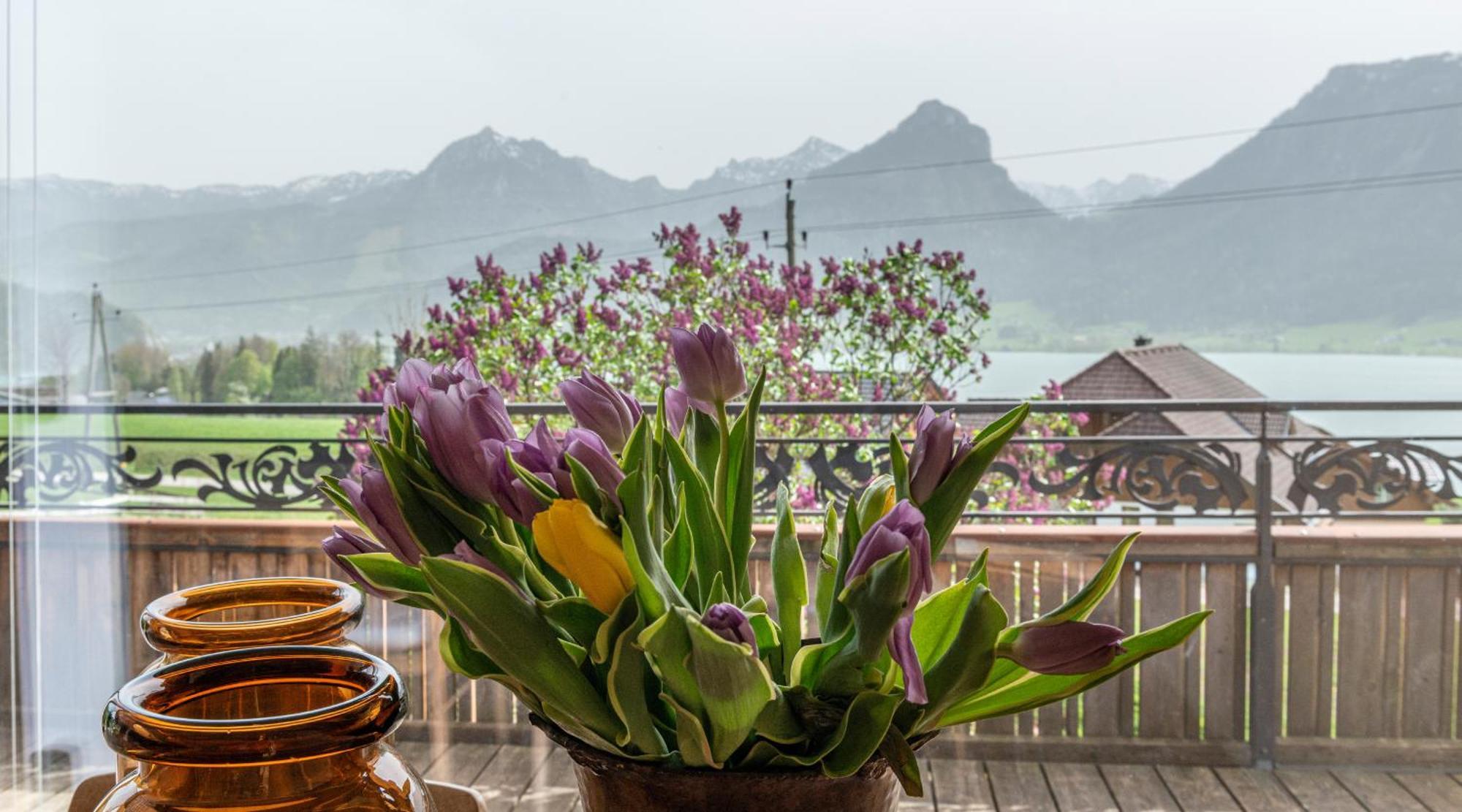 The View Apartment Sankt Wolfgang im Salzkammergut Luaran gambar
